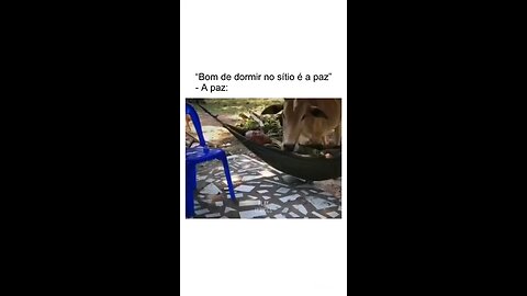 funny