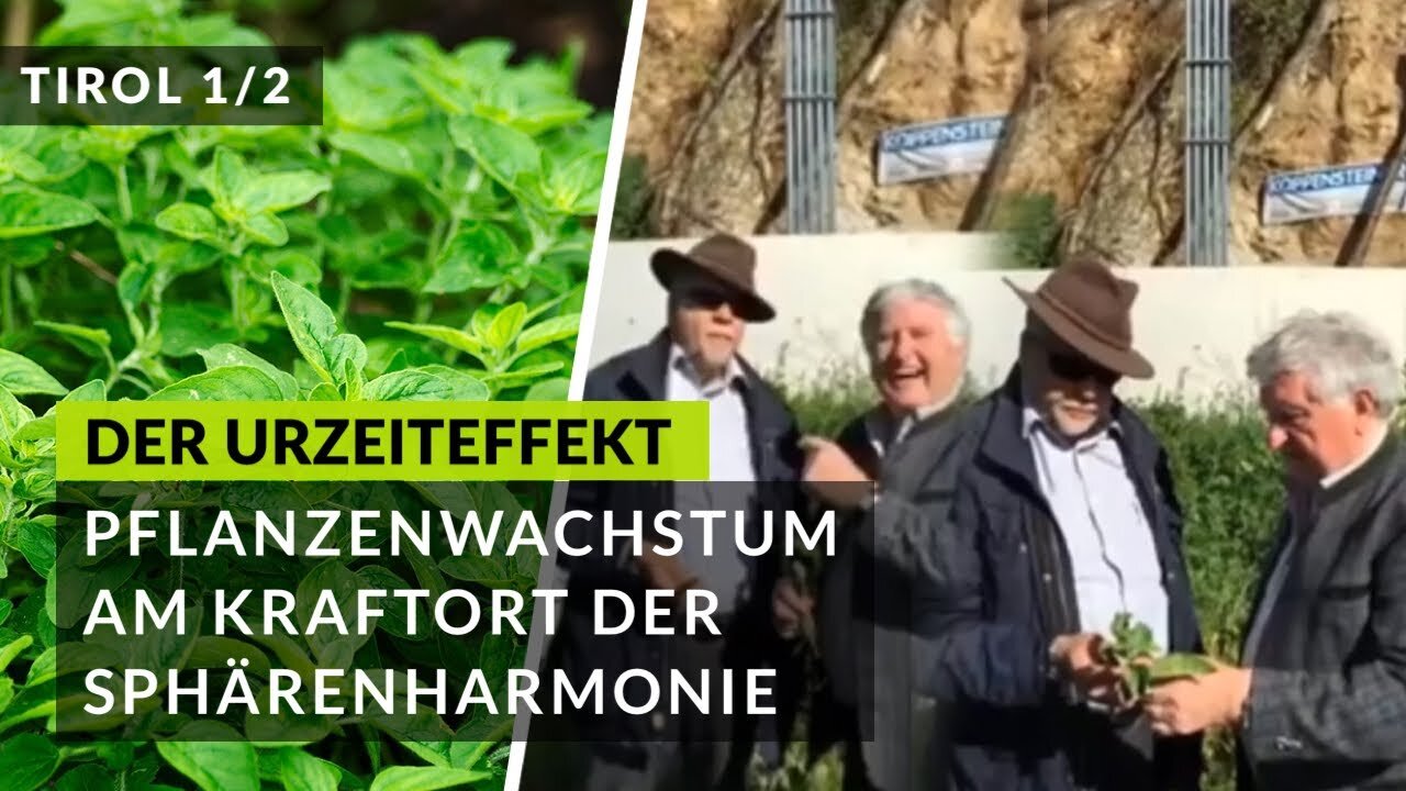 Positive Wirkung der Sphärenharmonieanlage (SHA) auf das Pflanzenwachstum (Durch den Urzeit-Effekt)