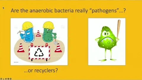 Michael Gossweiler, DDS, NMD-Bioregulatory Periodontics: A Patient-Centered Etiological Model