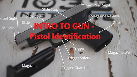 Intro to Gun - Pistol Identification