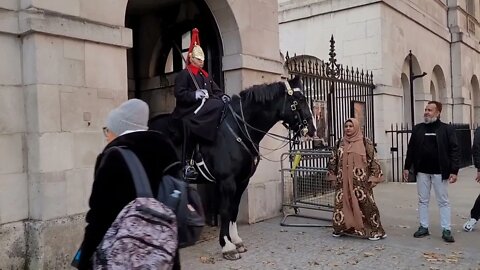 wants to shake hands and touches the Reins The guard shouts get off #horseguardsparade