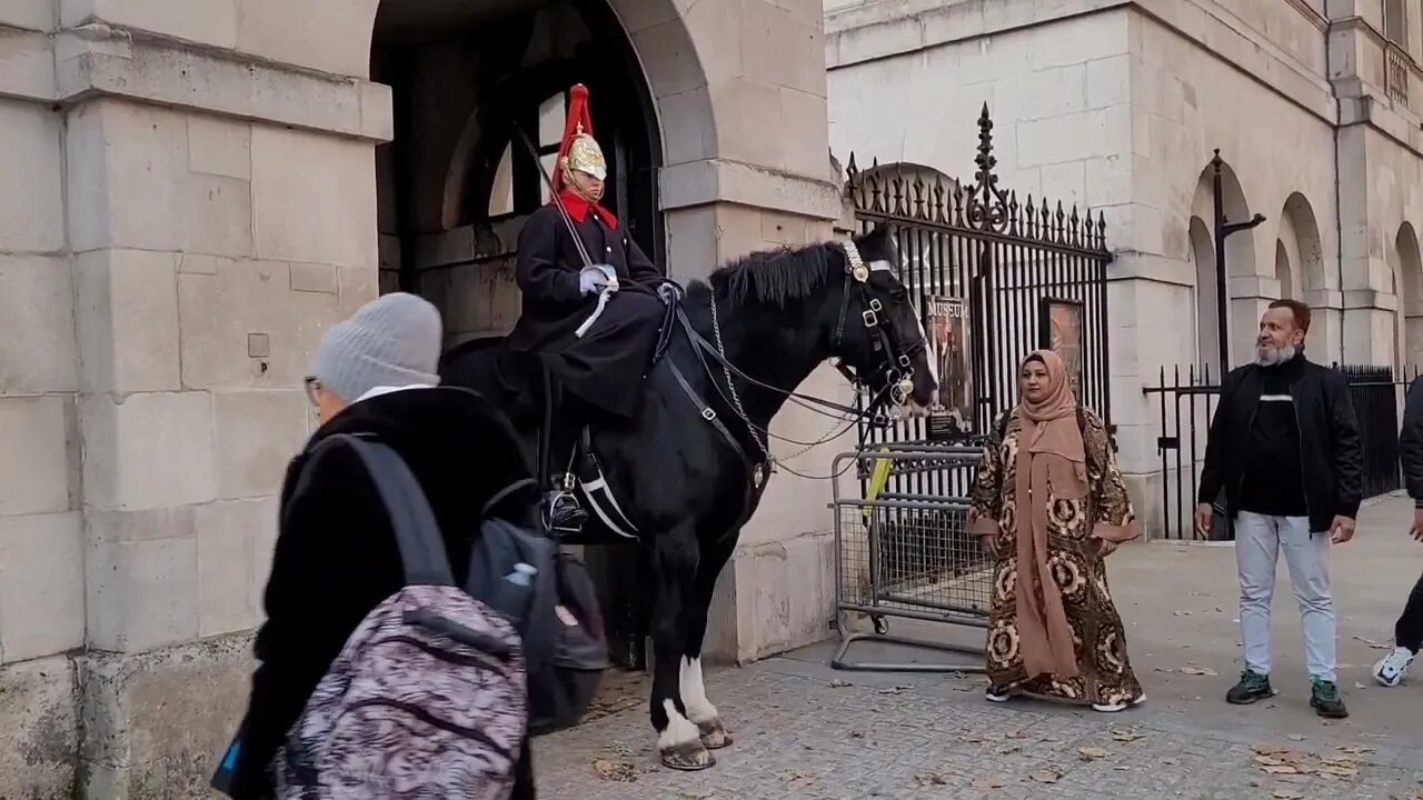 wants to shake hands and touches the Reins The guard shouts get off #horseguardsparade