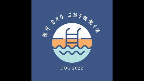 Teaching My Dogs How To Swim
