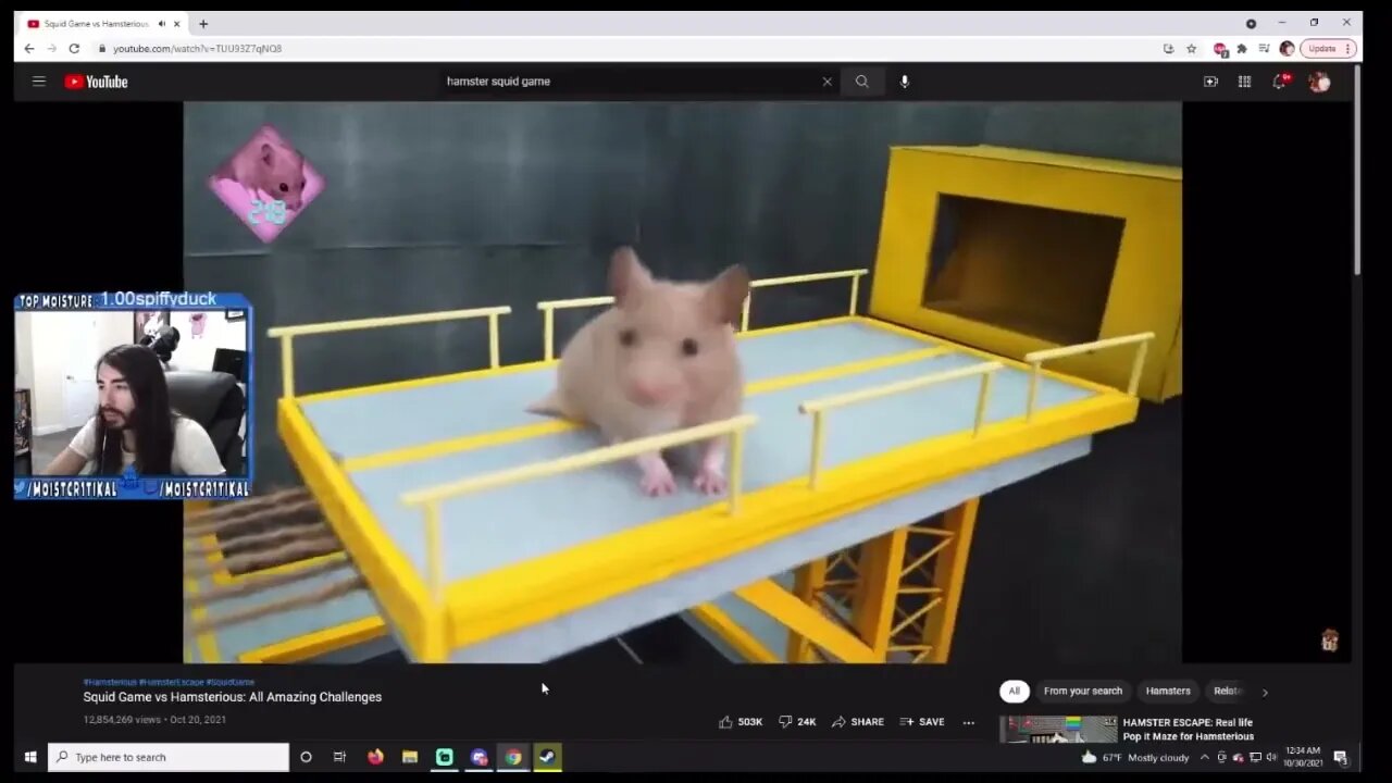 MoistCr1tikal Reacts To Hamster Squid Game