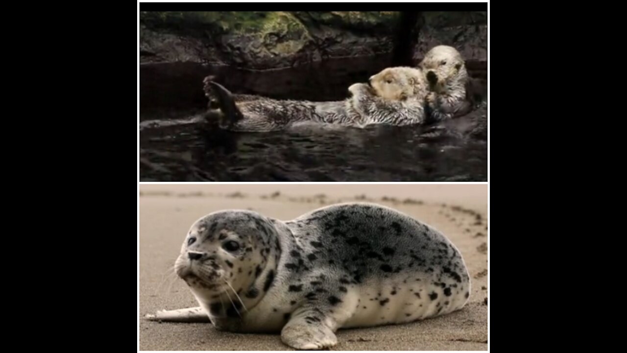 🤗♥️time to relax your mind