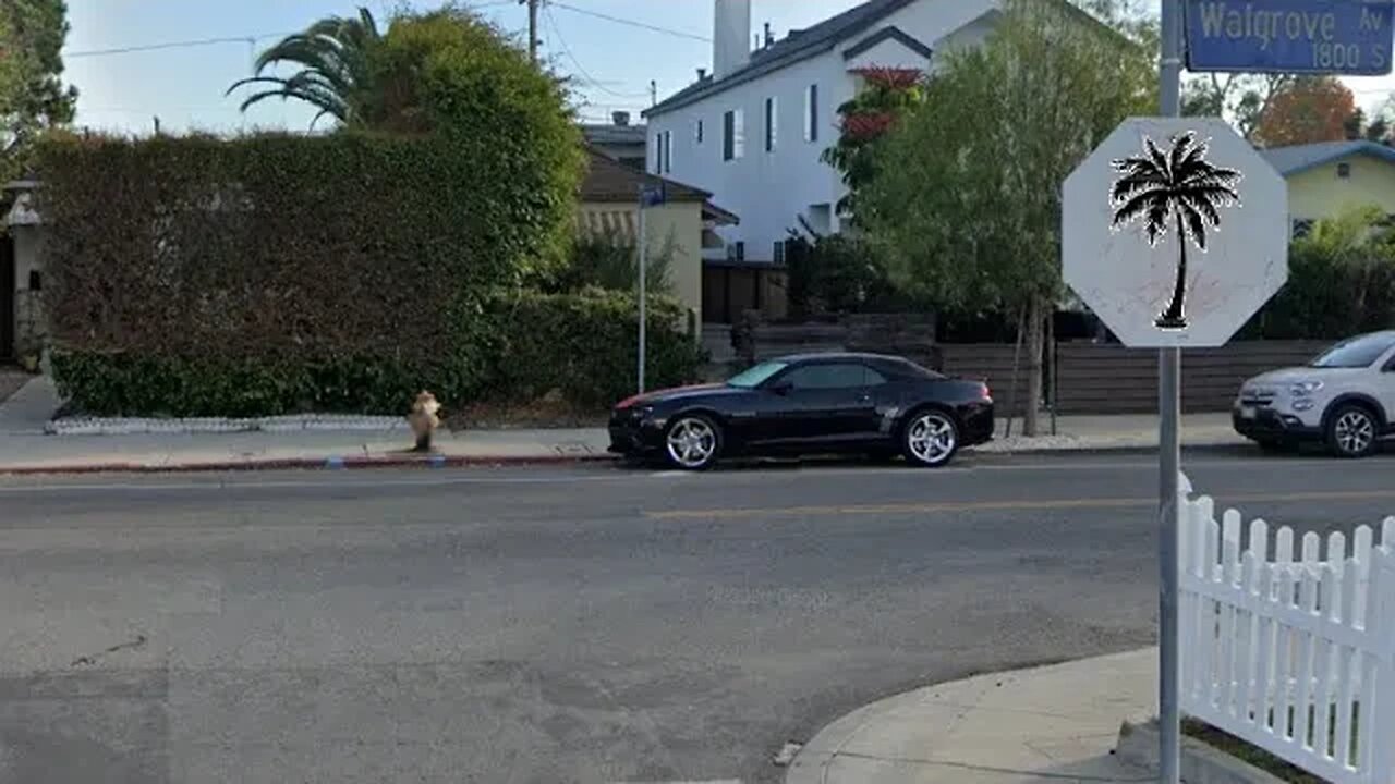 trees block bleached stop sign at Anne Heche's 90 MPH blue mini club man 400 foot stopping distance