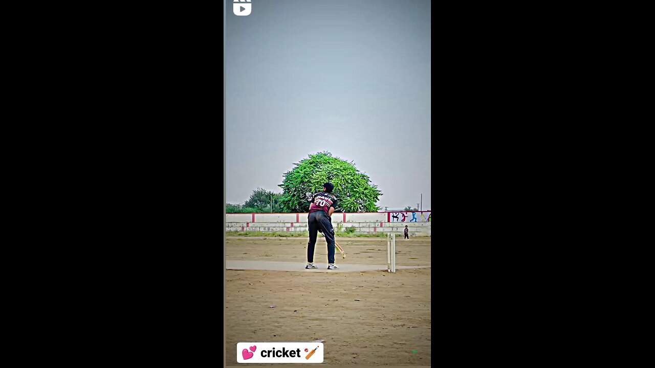 cricket video in India