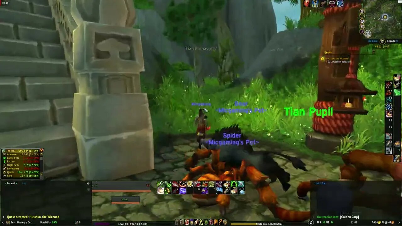 World of Warcraft Mists of Pandaria Husshun the Wizened