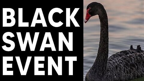 Black Swan Event - Chilling New Developments That Will Shock The World - 10/13/24..