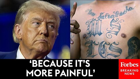 Donald Trump Warns Voters: MS-13 Gangs Members Are In The U.S. And They ‘Love’ Using ’Knives’