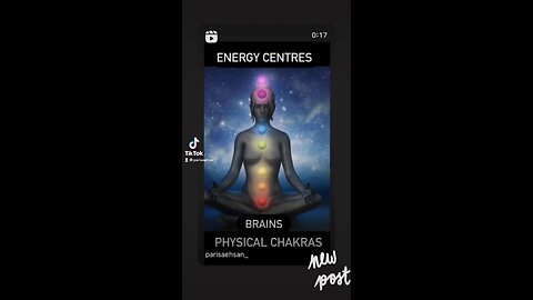 muladhara / root chakra