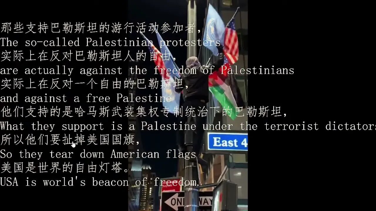那些支持巴勒斯坦的游行人群实际上在反对一个自由的巴勒斯坦、侵害巴勒斯坦人的自由