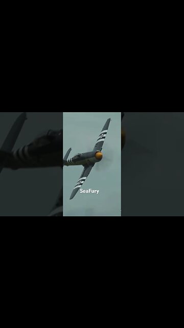 #aviationlover #warbird #airplane #airplanesdaily #aviation #airforceveteran #rcplane #british