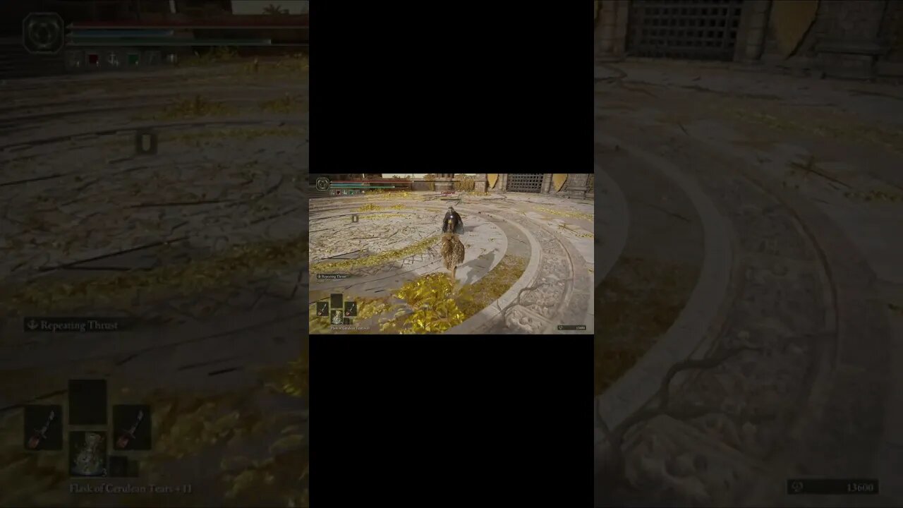 Elden Ring Colliseum PVP#27