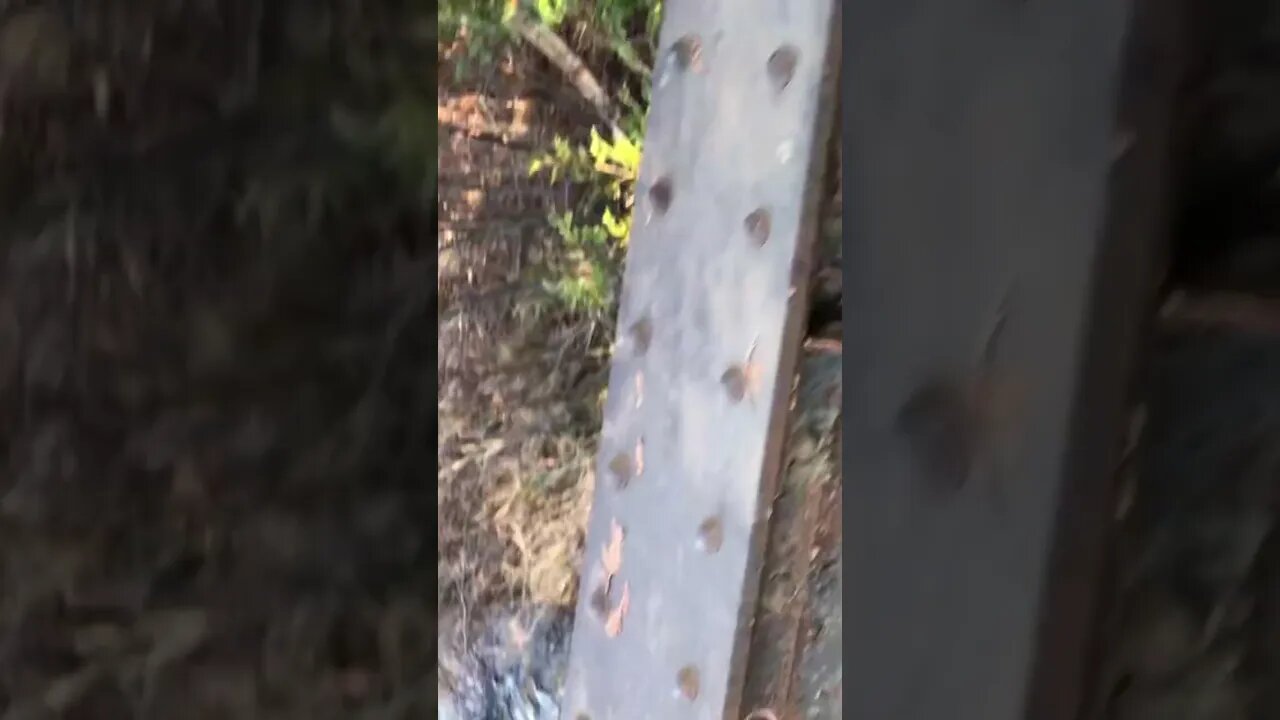 Clear stream in the forest and fear of heights