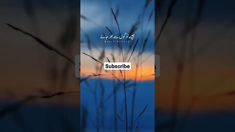 حضرت عمر نے خواہش #shorts #youtubeshorts #ytshorts #bayan