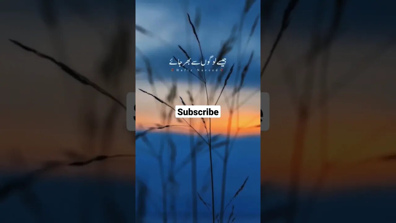 حضرت عمر نے خواہش #shorts #youtubeshorts #ytshorts #bayan