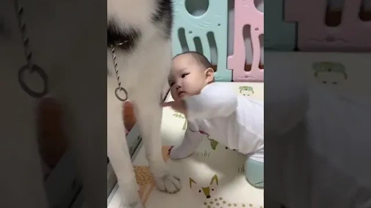 Cute Baby and Dog Compilation #shorts #puppy #baby #dog