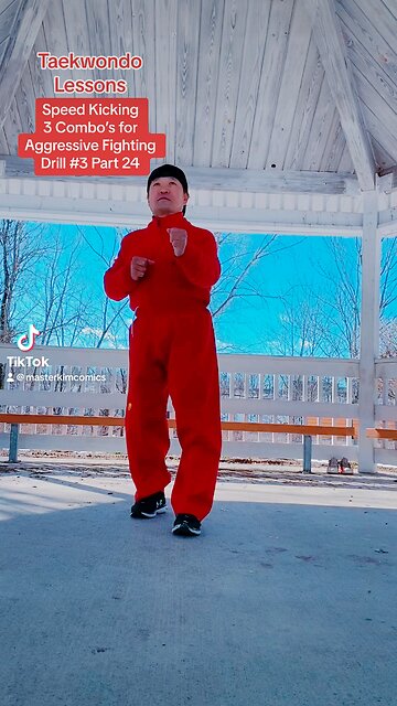 Taekwondo Lessons 3 Combo’s for Aggressive Fighting