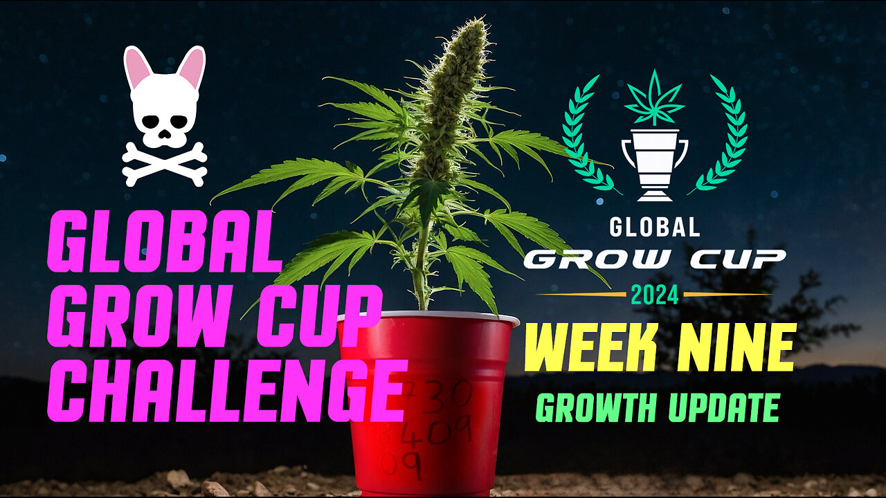 Global Grow Cup Challenge 2024 - Week Nine - Spider Farmer SF2000