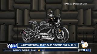 Harley-Davidson to release electric bike