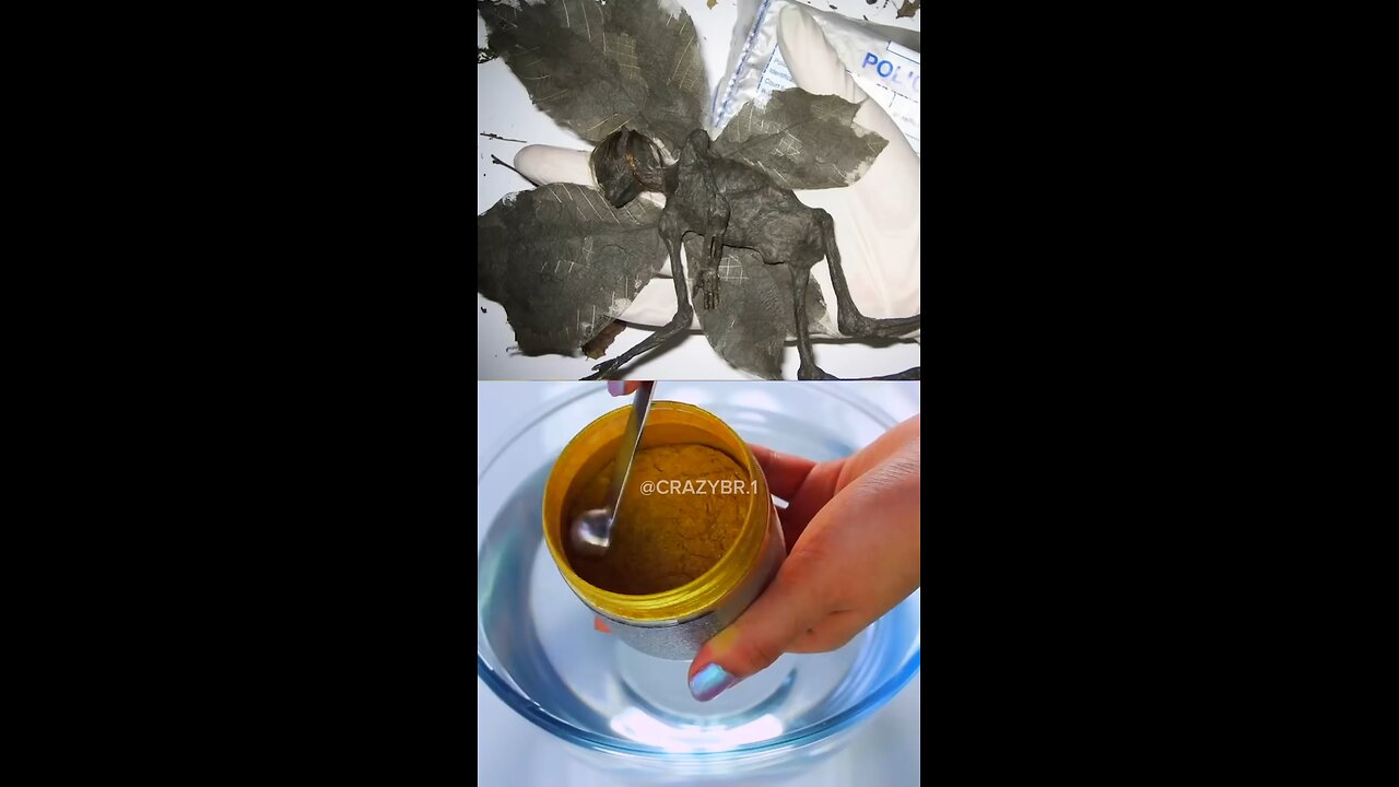 FADA DO DENTE DA VIDA REAL?! #fada #dente #real #curiosidades #viral