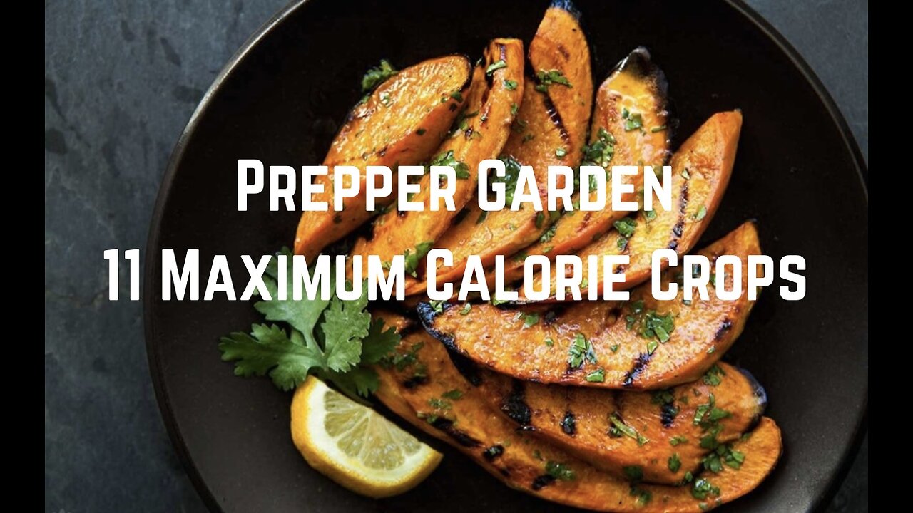 Prepper Garden: 11 Maximum Calorie Crops