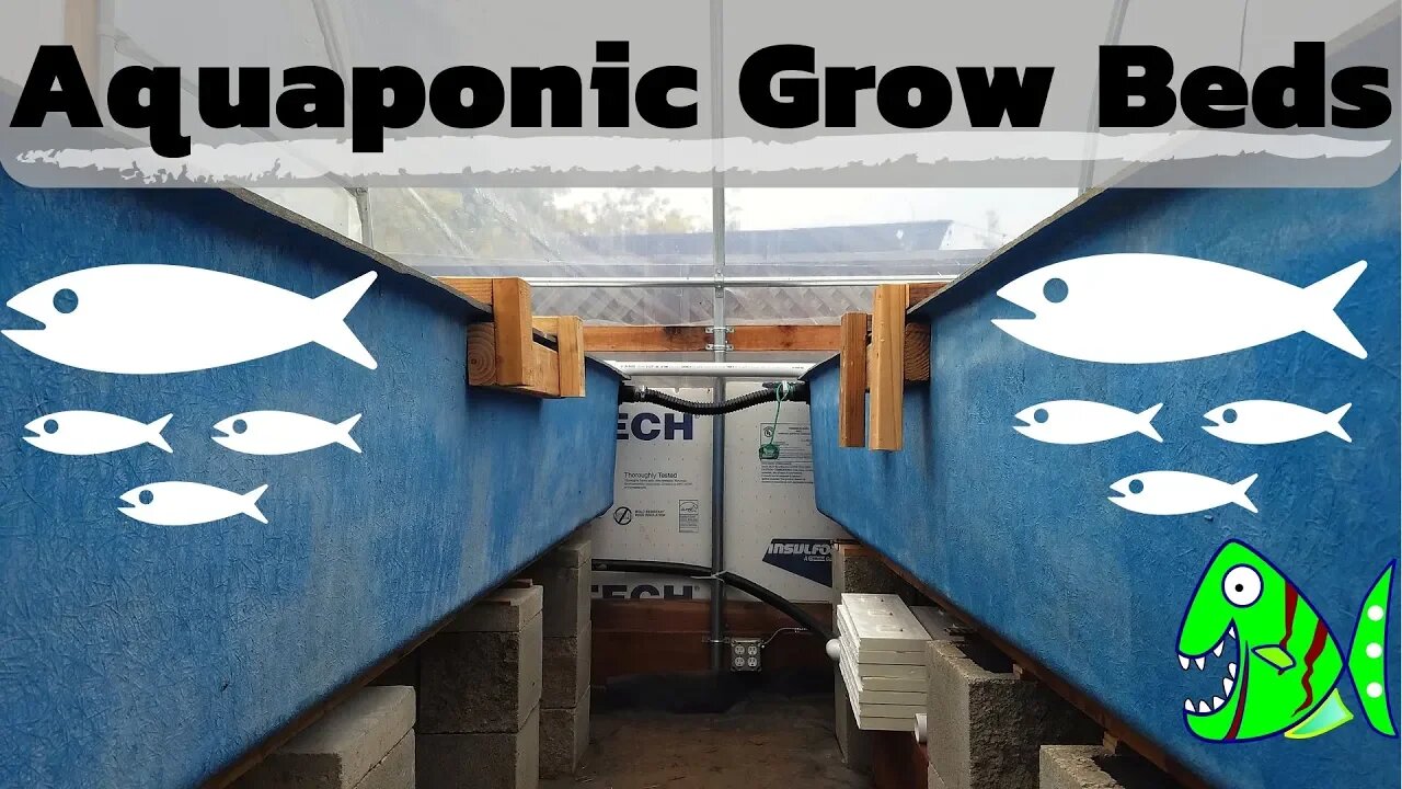 Aquaponic plumbing- connecting two grow beds to a sump tank (hybrid aquaponic system)