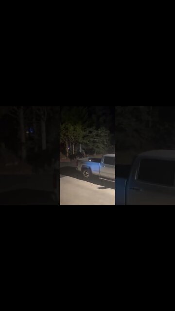 MOOSE Fighting in YARD & TRUCK 😱