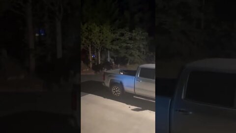 MOOSE Fighting in YARD & TRUCK 😱