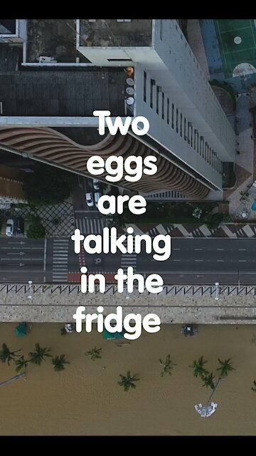 Two eggs are talking in the fridge