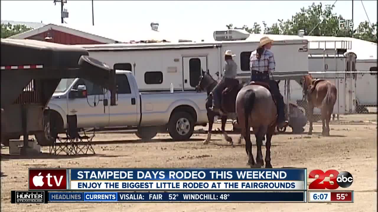 Stampede Days Rodeo this weekend