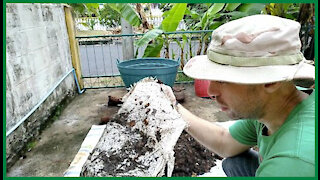 18 Day Compost Experiment 2nd Turning