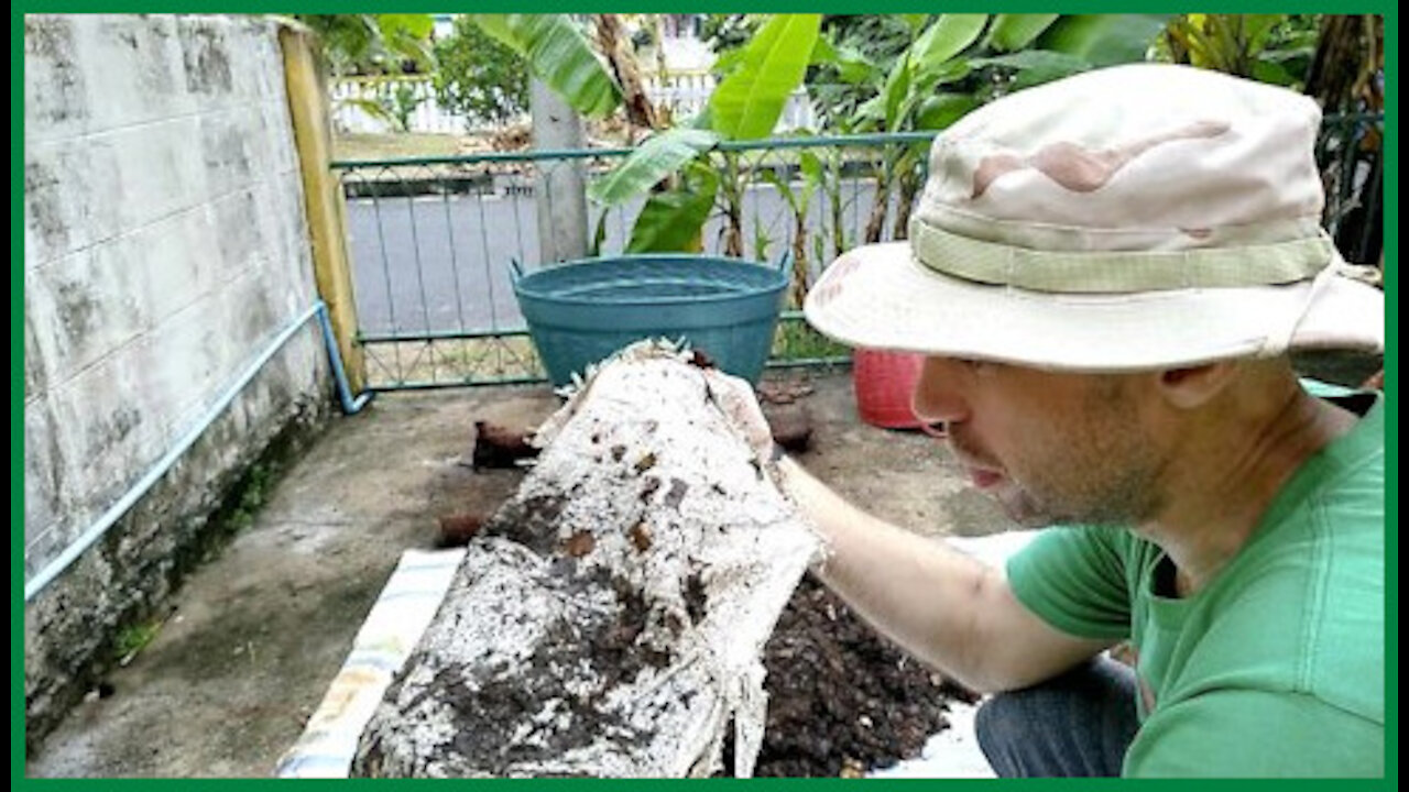 18 Day Compost Experiment 2nd Turning