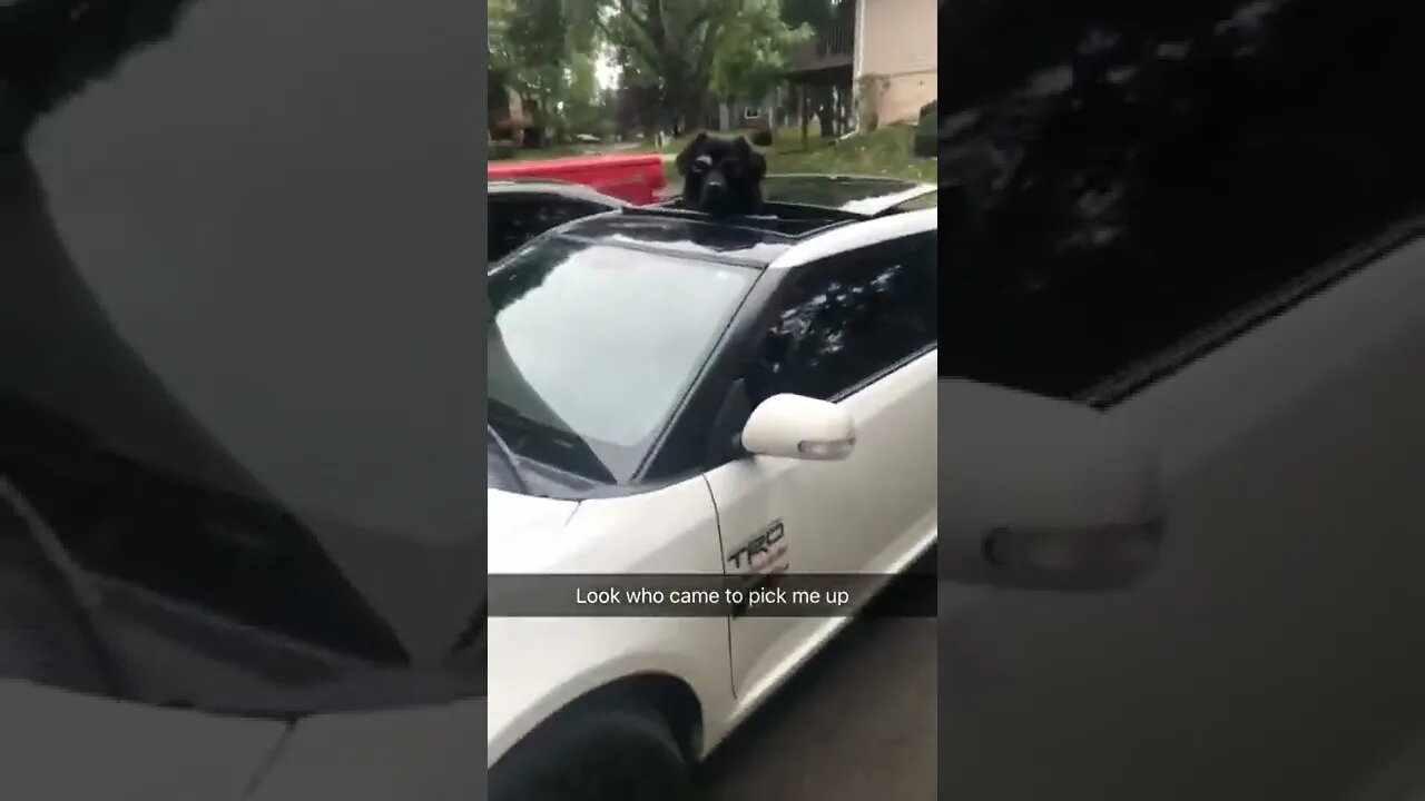 Ready for the ride
