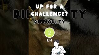 Listen for the sound. Guess the game pt. 15