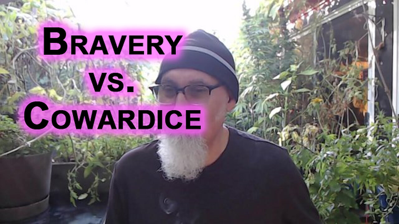 Bravery vs. Cowardice: Muslims vs. Centralized Propaganda Castrating Western Society