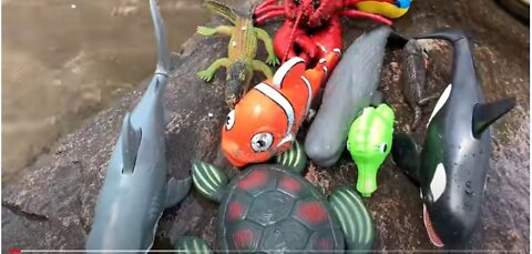 Sea Animal Toys This Summer at the Shore