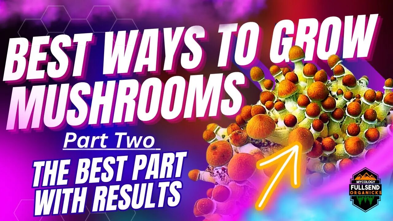 BEST ways to Grow Mushrooms in Grow bags and Monotubs!!