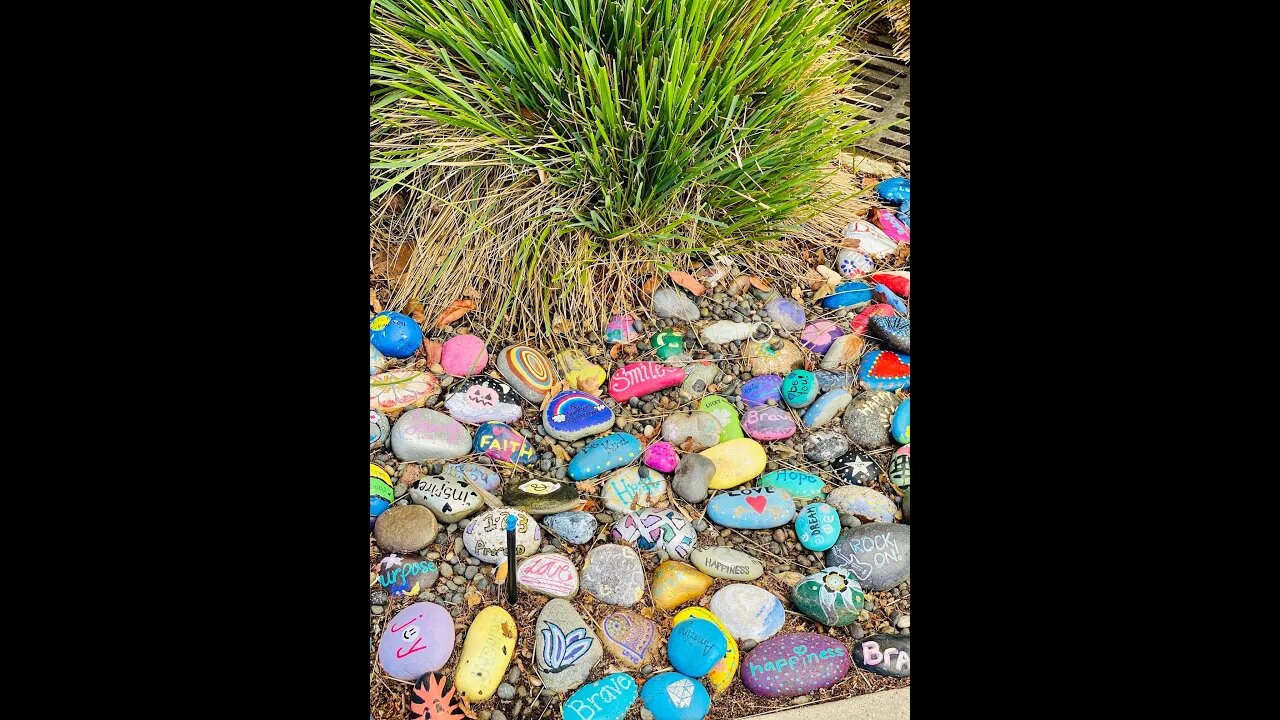 Painted Rocks for the Garden! Fun Garden Decor Shirley Bovshow #shorts