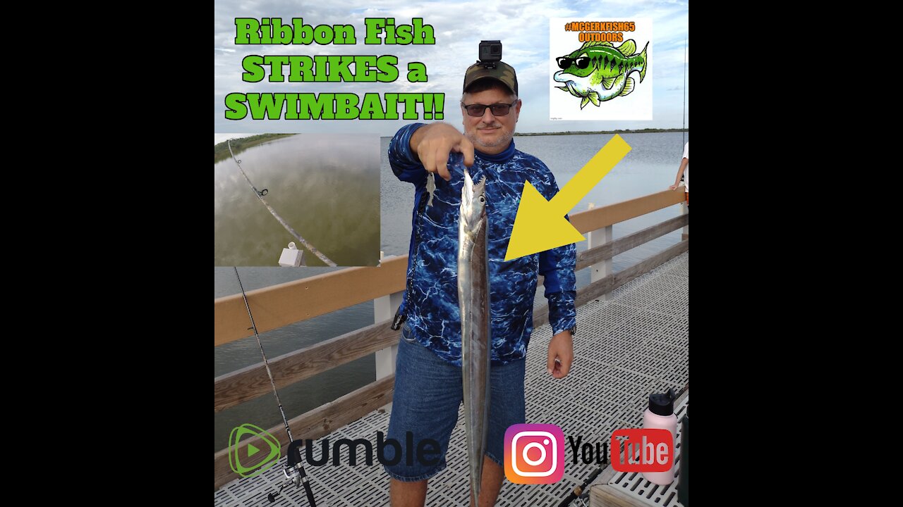 Ribbon Fish STRIKES a Swimbait!!