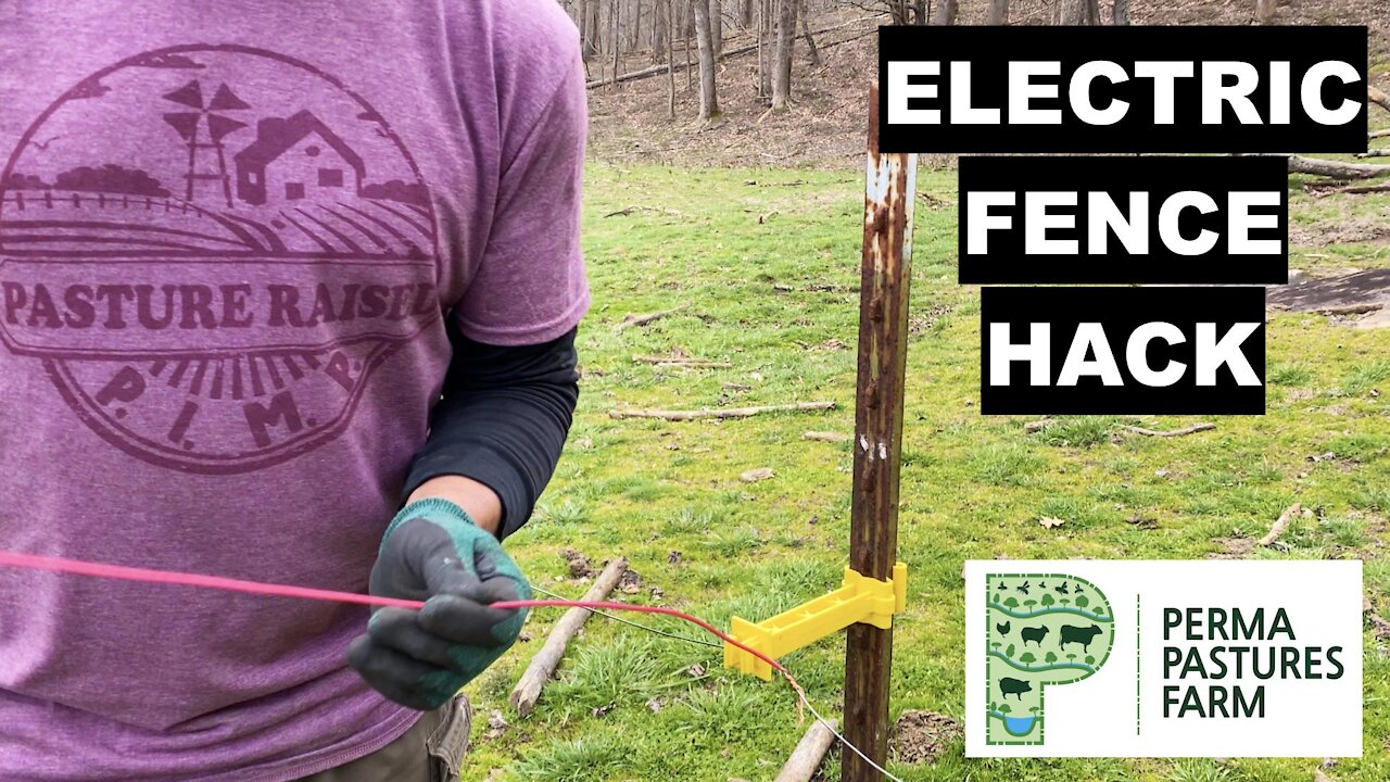 Easy Electric Fence Hack!