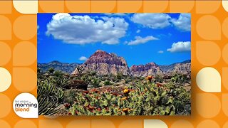 Friends of Red Rock Canyon Tortoise Trot Trail Run