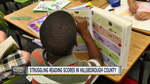 Struggling reading scores in Hillsborough County