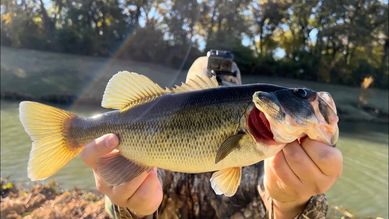 Use Shallow Diving Crankbaits in Winter