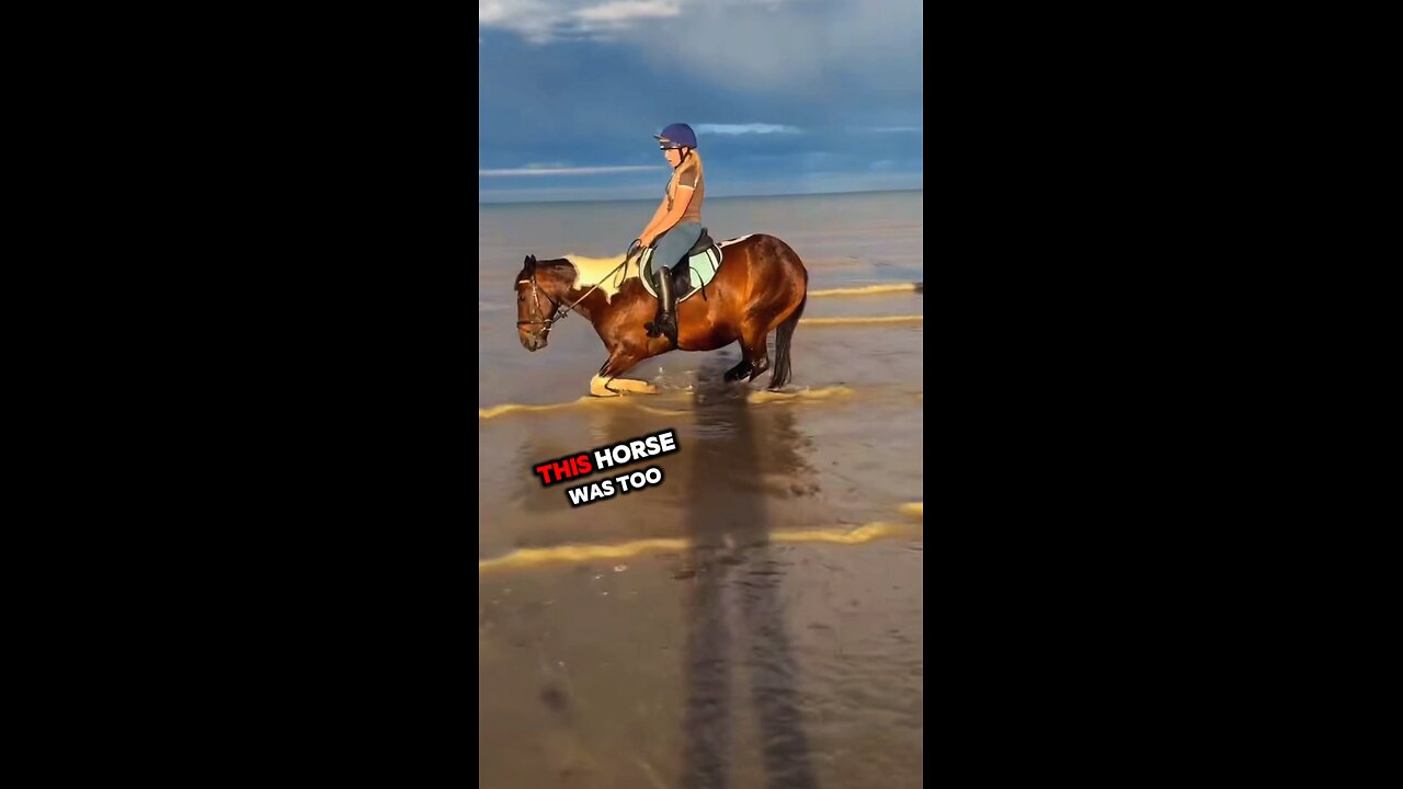 this horse wasn’t having it😳
