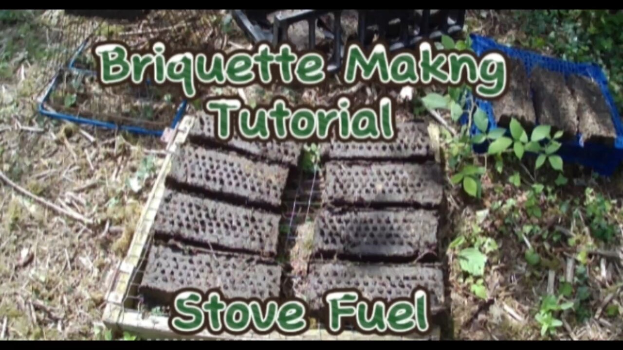 BRIQUETTE Making From Pony MANURE