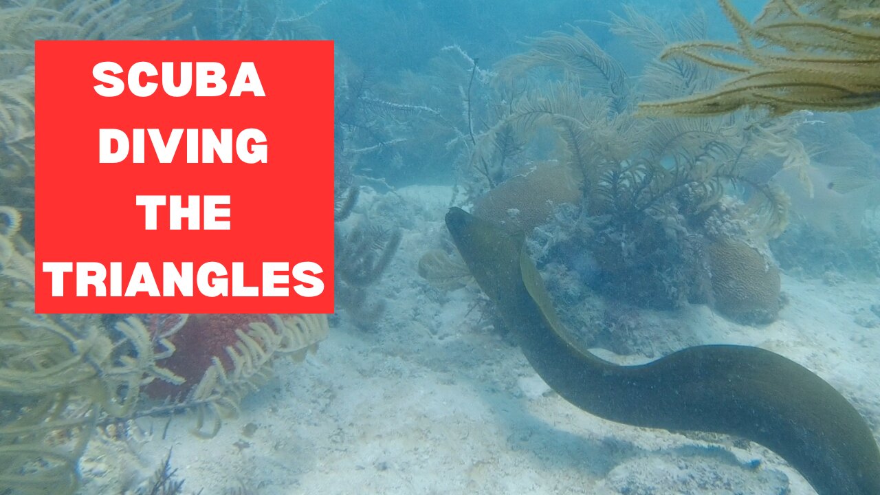 Diving Key Largo Triangles Area