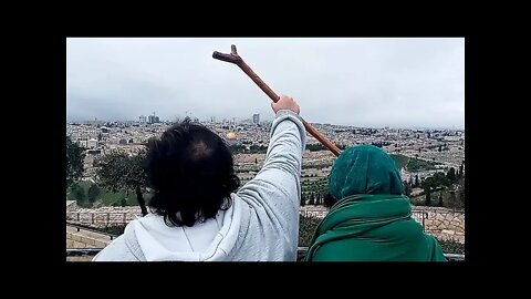 As 2 árvores preparadas em Jerusalém!
