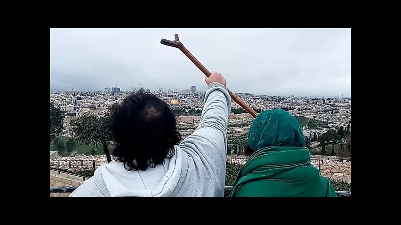 As 2 árvores preparadas em Jerusalém!